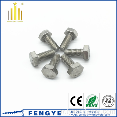 Vis de tête hexagone Titanium Hexagon Din933